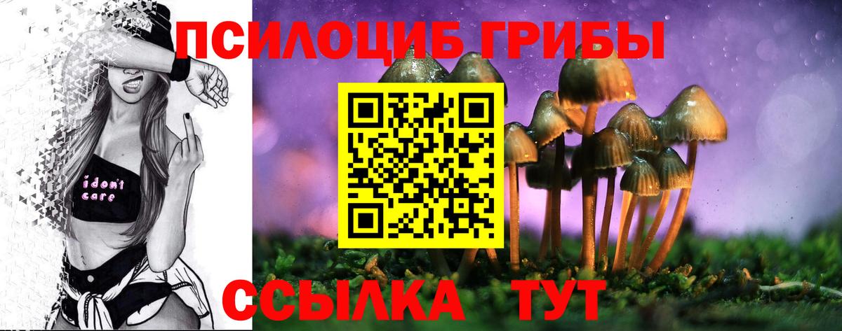 Якутск  Галлюциногенные грибы MAGIC MUSHROOMS  Вход с VPN 