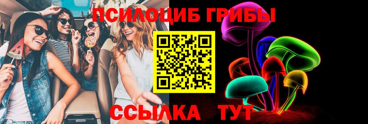 Галлюциногенные грибы прущие грибы Якутск